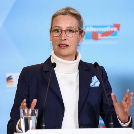 Κόντρες στο AfD για τους δασμούς Τραμπ: «Δηλητήριο» τους χαρακτηρίζει η Βάιντελ