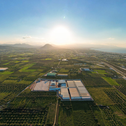 H Tikun Olam Ελλάδος επεκτείνει τη διεθνή της παρουσία με εξαγωγές σε Ηνωμένο Βασίλειο και Γερμανία