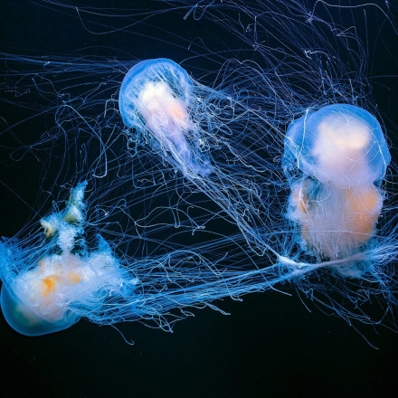 Σάλος στην Ολλανδία: Δότες σπέρματος με... 75 παιδιά – Τεστ DNA πριν από κάθε ραντεβού