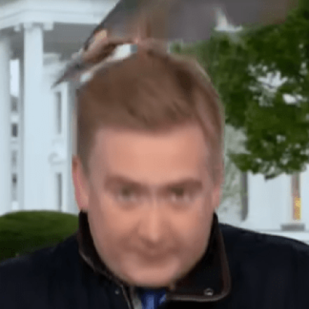 Viral και πάλι ο Λευκός Οίκος - Πουλί «πολιόρκησε» δημοσιογράφο on air