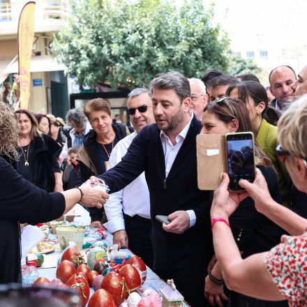 Ανδρουλάκης: Να ενημερώσει ο Πρωθυπουργός τον ελληνικό λαό για το έργο της ηλεκτρικής διασύνδεσης