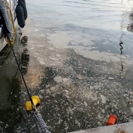 Αφόρητη δυσοσμία στο λιμάνι του Βόλου - Ελήφθησαν δείγματα για αναλύσεις