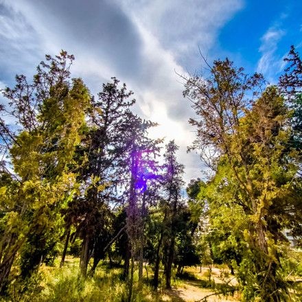 Καιρός: «Καμπανάκι» Τσατραφύλλια για αφρικανική σκόνη και 35αρια τις επόμενες ημέρες