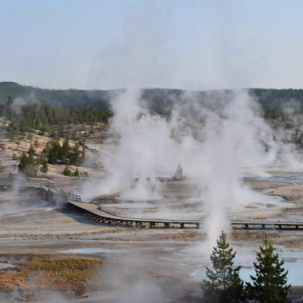 Τραγωδία στις ΗΠΑ: 7 νεκροί από σύγκρουση τουριστικού λεωφορείου με φορτηγό σε πολυσύχναστο δρόμο