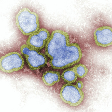 Διπλή προστασία: Το εμβόλιο του έρπητα ζωστήρα «θωρακίζει» και την καρδιά