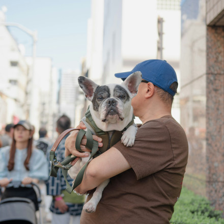 Κινεζική εταιρεία «υπόσχεται» μετάφραση της γλώσσας των ζώων σε ανθρώπινη - Πως θα το καταφέρει