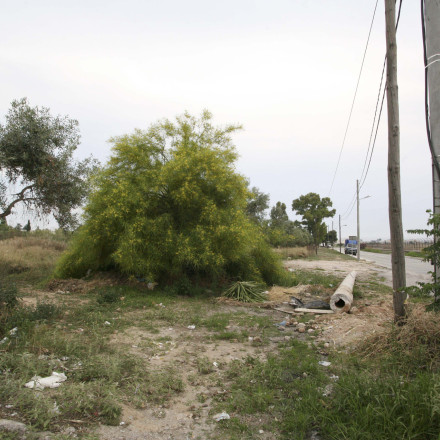 Τέλος χρόνου για τα ακαθάριστα οικόπεδα: Πότε λήγει η προθεσμία - Πώς κάνετε δήλωση