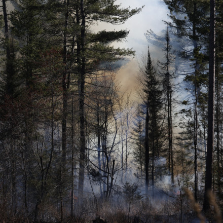 Δασικές φωτιές στον Καναδά: Εσπευσμένη απομάκρυνση 17.000 ανθρώπων από τα σπίτια τους