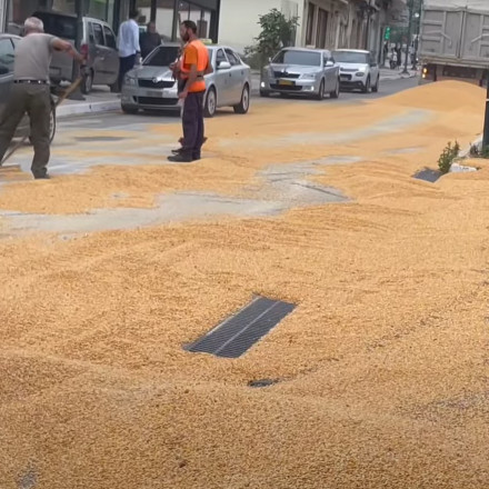 Αμφιλοχία: «Πλημμύρισε» ο δρόμος καλαμπόκι - Μάζευαν με σκούπες τον καρπό