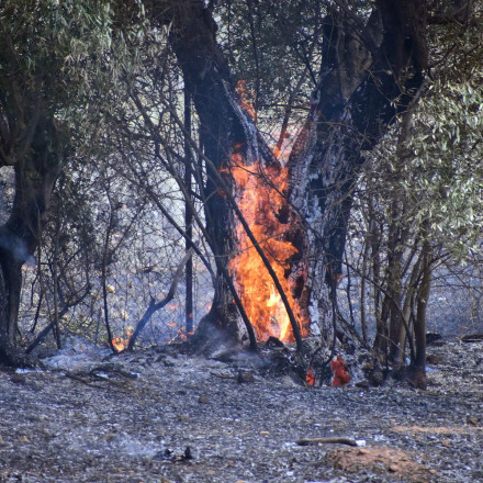 Σύλληψη 73χρονου για εμπρησμό από πρόθεση στη Βοιωτία