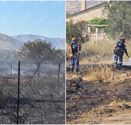 Καλύτερη η εικόνα της φωτιάς στην Ανάβυσσο - Χωρίς ενεργό μέτωπο Καλύτερη η εικόνα της φωτιάς στην Ανάβυσσο - Χωρίς ενεργό μέτωπο