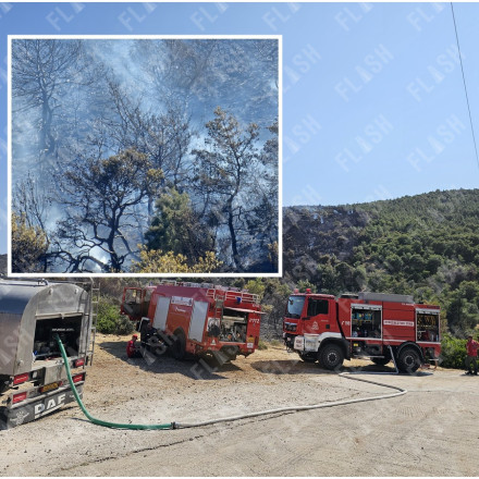 «Καρακάξα... εμπρηστής» ξεκίνησε τη φωτιά στο Άνω Σούλι Μαραθώνα - Μοναχός μιλά στο Flash