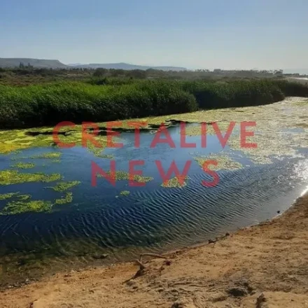 Νεκρά ψάρια και χελώνες στον ποταμό, δίπλα οι τουρίστες κολυμπούν!