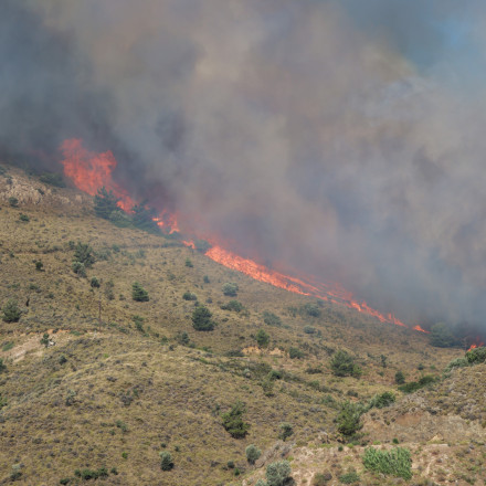 Συνεχίζεται ο πύρινος εφιάλτης στη Χίο: Δεν σταματά να ηχεί το 112 - Στάχτη 62.000 στρέμματα