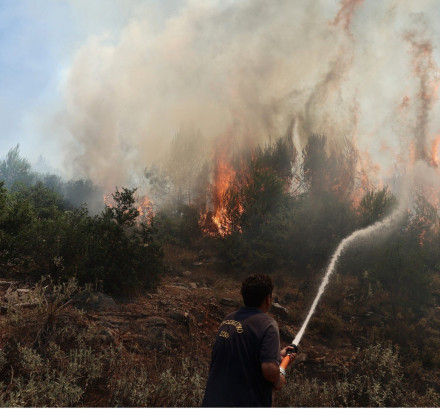 Φωτιά τώρα: Πιθανή η εκκένωση του οικισμού Λεύκες στα Δερβενοχώρια Φωτιά τώρα: Πιθανή η εκκένωση του οικισμού Λεύκες στα Δερβενοχώρια
