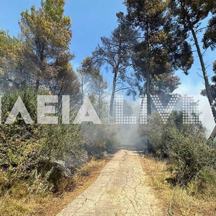 Φωτιά τώρα: Πυρκαγιά σε Ηράκλεια Ηλείας, Βασιλίτσι Μεσσηνίας και Λέσβο
