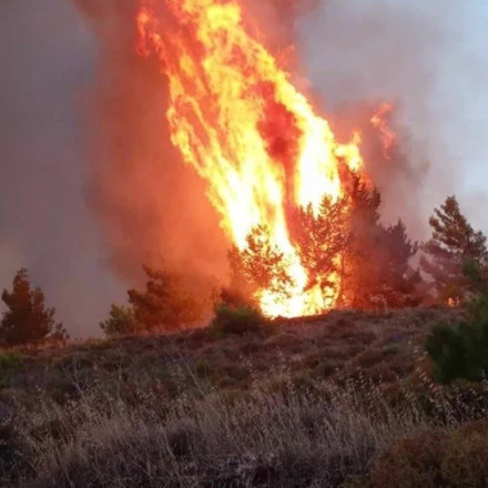 Φωτιά στον Ταΰγετο: Δεν υπάρχει ενεργό μέτωπο – Παραμένουν οι δυνάμεις στο σημείο