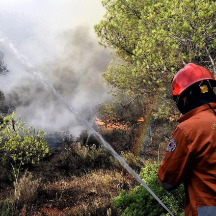 Φωτιά τώρα στην Ξάνθη: Επιχειρούν επίγειες και εναέριες δυνάμεις