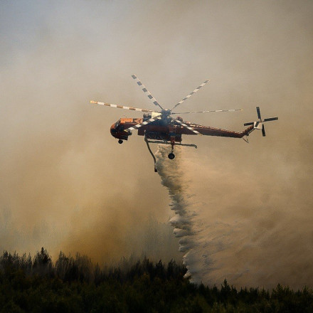 Φωτιά στον Όλυμπο, στην τοποθεσία Μπεχτέσι της κοινότητας Καρυάς Ελασσόνας