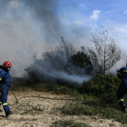 Φωτιά τώρα στον Σχινιά