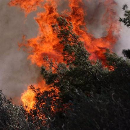 Φωτιά τώρα στην Κύμη
