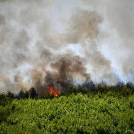 Πυρκαγιές: «Πορτοκαλί» συναγερμός για 4 Περιφέρειες τη Δευτέρα 31/7
