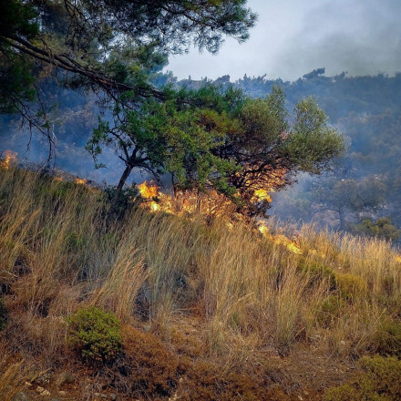 Φωτιά στον Βαρνάβα: Μεγάλη κινητοποίηση των πυροσβεστικών δυνάμεων