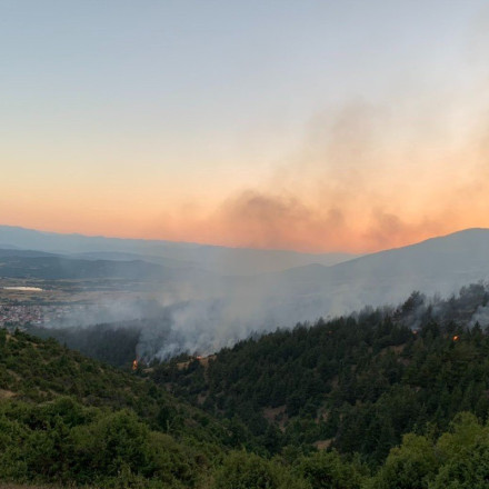 Φωτιά στα Γρεβενά: Περιορίστηκε το μέτωπο - Συνεχίζεται η κατάσβεση [vid]