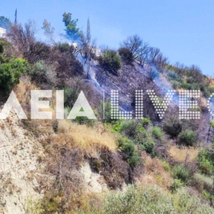 Φωτιά στον Πύργο: Οριοθετήθηκε η πυρκαγιά στον Πλάτανο της Αρχαίας Ολυμπίας