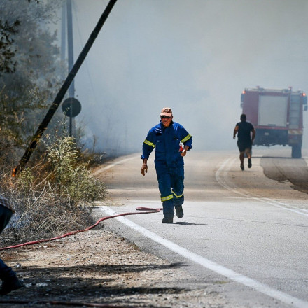 Φωτιά στην Ηλεία: Υπό κράτηση ο 65χρονος για απόπειρα εμπρησμού από πρόθεση - Απολογείται τη Δευτέρα