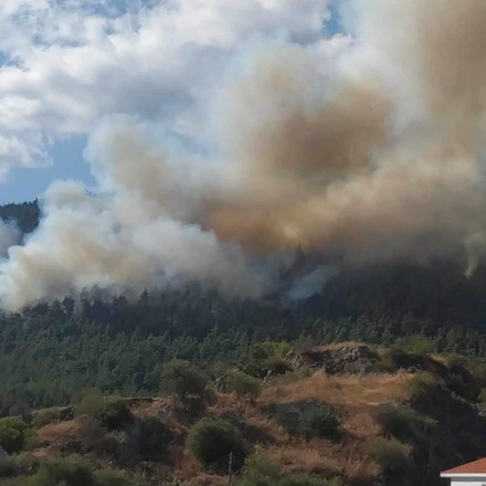 Τρίπολη: Καλύτερη η εικόνα της φωτιάς στον Άγιο Βλάσιο - Πολύ υψηλός κίνδυνος πυρκαγιάς σε 9 περιφέρειες