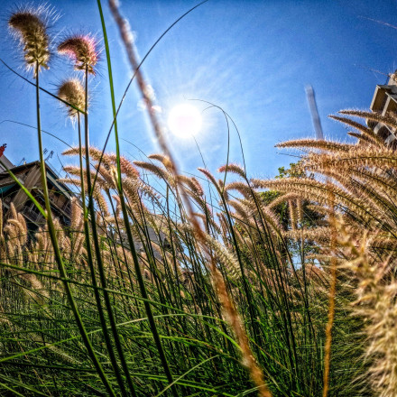 Το φως της ημέρας «ξυπνά» το ανοσοποιητικό - Πώς συνδέεται με την καταπολέμηση λοιμώξεων