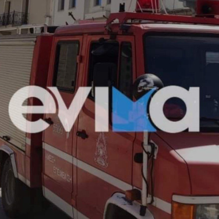 Εύβοια: Συναγερμός στην Πυροσβεστική - Φωτιά στην Κύμη