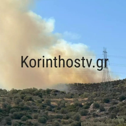 Φωτιά στην Κόρινθο: Κατακαίει σε δασική έκταση [vid]