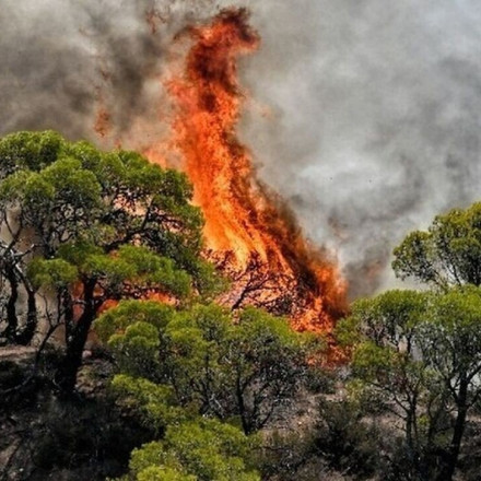 Εντολή εκκένωσης για Νέα Μαγνησία και Μεγάλη Βρύση, νέο μήνυμα για απομάκρυνση των κατοίκων
