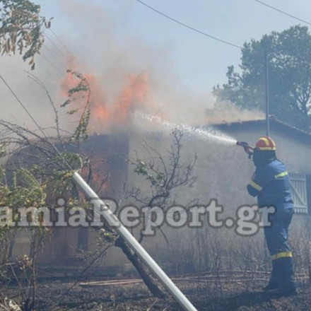 Λαμία: Σε πλήρη εξέλιξη οι πυρκαγιές σε Κάστρο, Κάτω Τιθορέα, Δομοκό - Ολονύχτια μάχη [vids]
