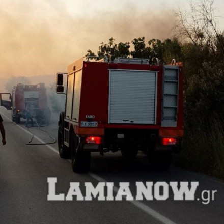 Φωτιά στην Λαμία: Μάχη σε δύο μέτωπα - Υπό έλεγχο ανάμεσα σε Κομποτάδες και Μεξιάτες
