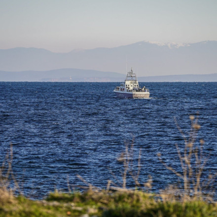 Λέσβος: Εξαρθρώθηκε δίκτυο διακίνησης μεταναστών – Εμπλέκονται ΜΚΟ και διαμένοντες σε ΚΥΤ