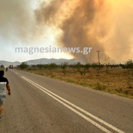 Φωτιά στη Μαγνησία: Γυναίκα νεκρή - Χωρίς τις αισθήσεις του ο άνδρας της