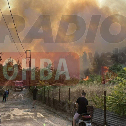Φωτιά στη Θήβα: Κοντά σε κατοικημένη περιοχή οι φλόγες [vid]