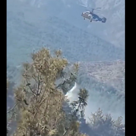 Τουρκία: Μεγάλη φωτιά σε δάσος στην Αντάλια [vids]
