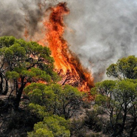 Τέσσερις τραυματίες σε μεγάλη πυρκαγιά στη Σαρδηνία