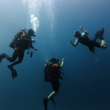 Εντυπωσιακές εικόνες από την εκπαίδευση των ΟΥΚάδων στη Νέα Πέραμο
