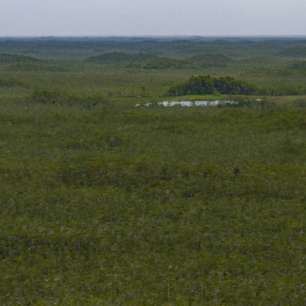 Ο Τραμπ εγκαινιάζει τις φυλακές «Αλκατράζ με αλιγάτορες» - Λευκός Οίκος: Περιβάλλον που δεν συγχωρεί
