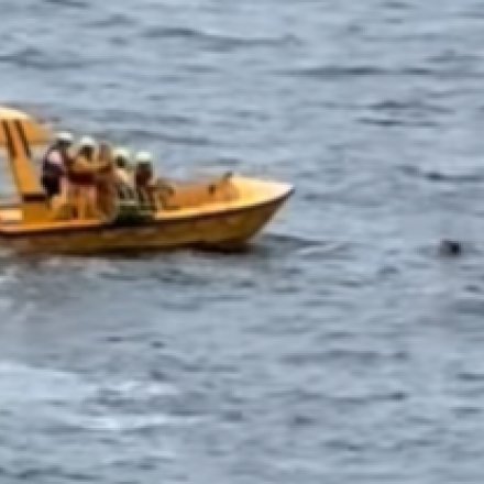 Στιγμές πανικού στον Ατλαντικό: 5χρονο έπεσε από το κατάστρωμα κρουαζιερόπλοιου - Η στιγμή της διάσωσης