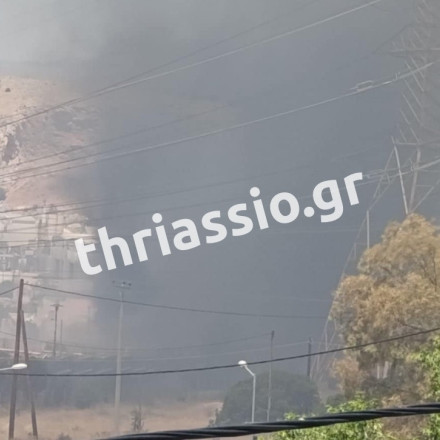 Φωτιά τώρα στον Ασπρόπυργο - Επιχείρηση της Πυροσβεστικής με 2 εναέρια μέσα