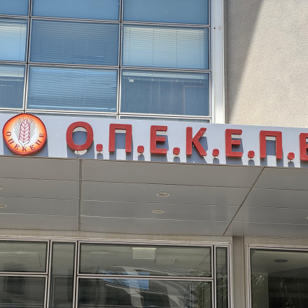 ΟΠΕΚΕΠΕ: Έως 18 μήνες με αναστολή σε 14 εμπλεκόμενους - «Πήρα 5.000 ευρώ και δεν τα δέχονταν πίσω»