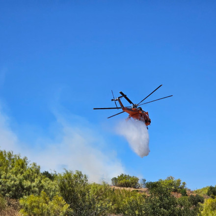 Ροδόπη: Φωτιά στην περιοχή Μελίταινα - Επιχειρούν και εναέρια μέσα
