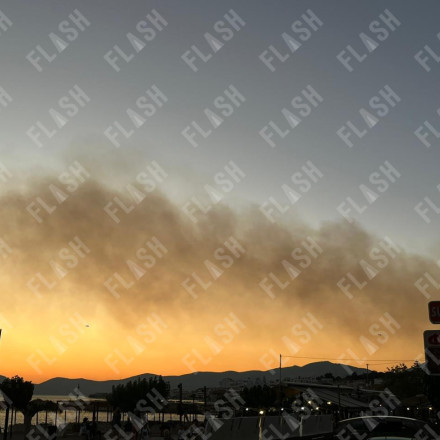 Πολύ δύσκολη νύχτα στην Κάρυστο - Η φωτιά μαίνεται ανεξέλεγκτη