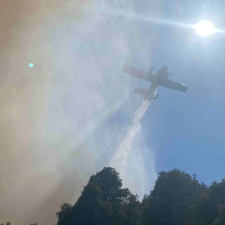 Μαίνεται η φωτιά στη Βουρβουρού Χαλκιδικής - Ενισχύθηκαν οι δυνάμεις της Πυροσβεστικής